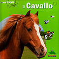 Ingrandisci l'immagine